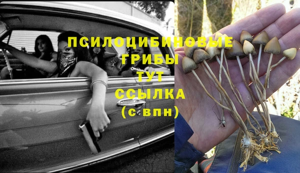 бутират Осинники