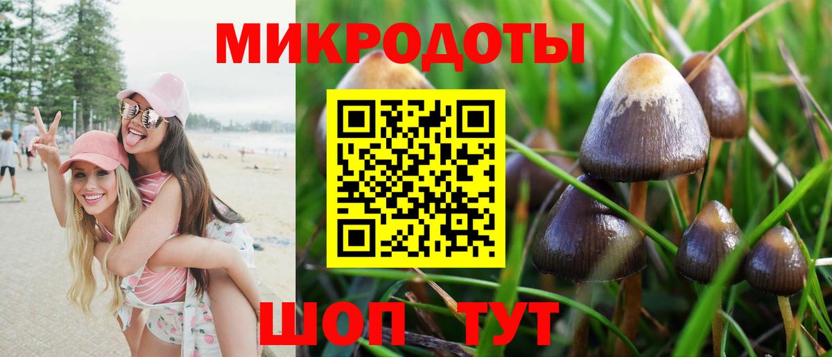Котлас  Галлюциногенные грибы Psilocybe  Псилоцибиновые грибы Cubensis  Вход с VPN 